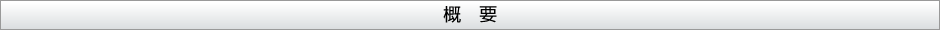 概要