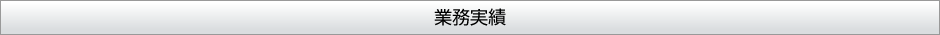 業務実績
